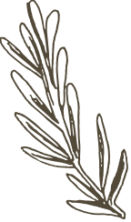 deco