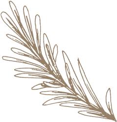 deco