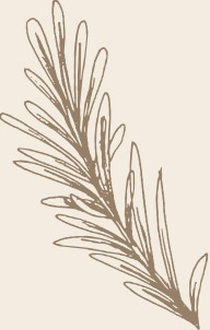 deco