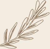 deco