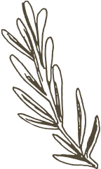 deco