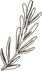 deco