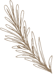 deco