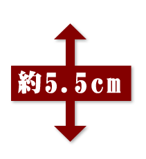 約5.5cm