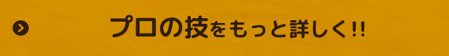 プロの技をもっと詳しく!!