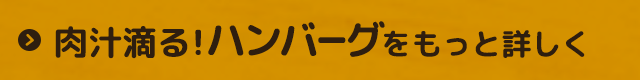 ハンバーグをもっと詳しく